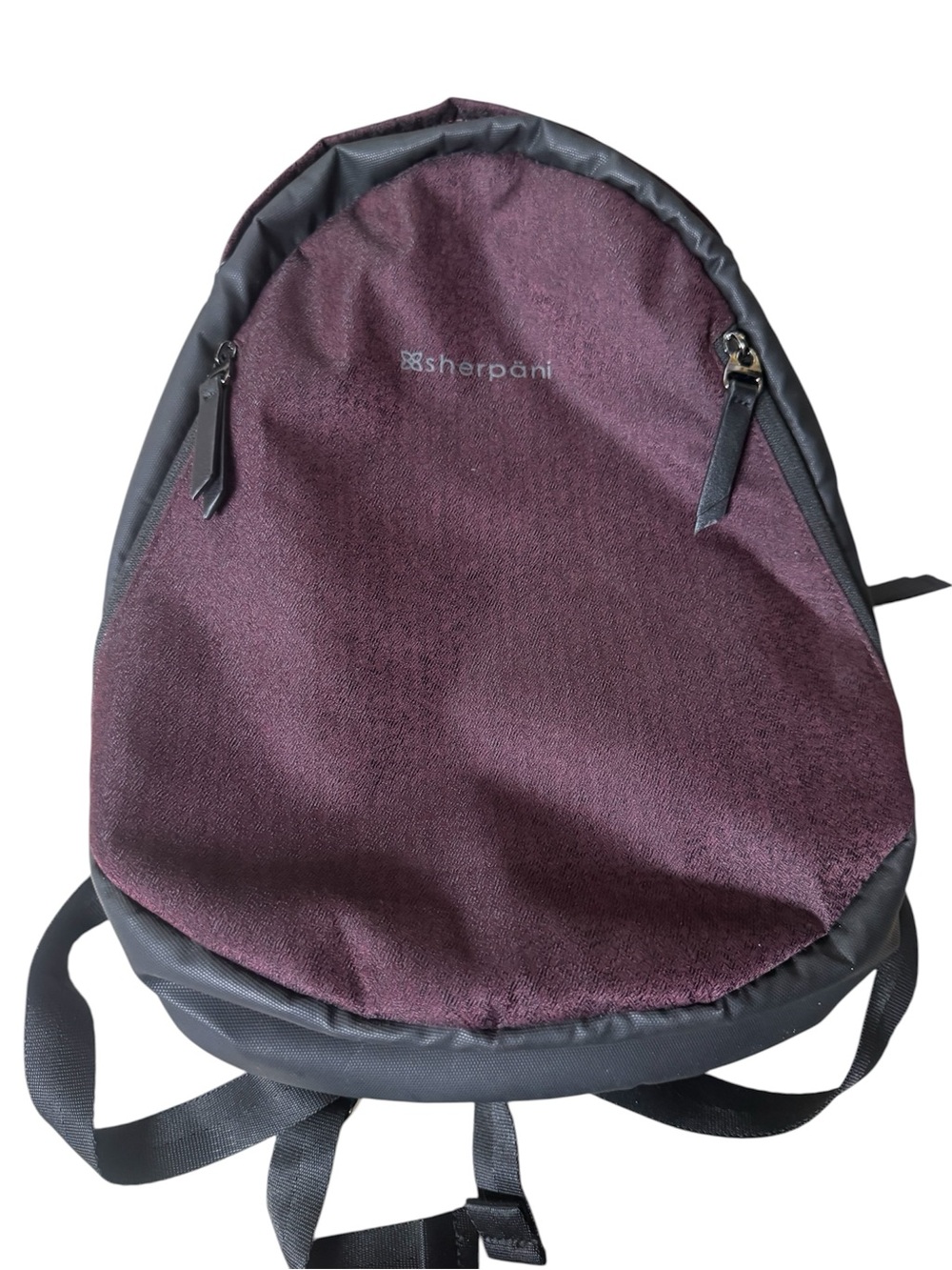 Sherpani anti theft travel backpack